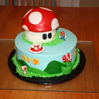 Super Mario Brothers This cake was a problem cake. It was one of those that everything just went wrong. Anyway, it is buttercream with fondant details. The top...