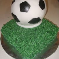 Soccer Ball Soccer ball covered in fondant and painted. Square cake covered in colored coconut.