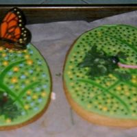 Lily Pad Cookies The butterfly, the dragon fly and the frog are made of built up royal icing, each layer allowed to dry before piping on the next, and...