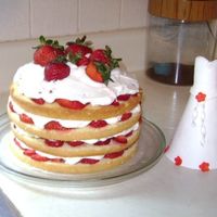 Strawberry Shortcake This isn't much of a decorated cake, but the red and white are pretty, I thought. I also made the wedding dress out of pastillage (...