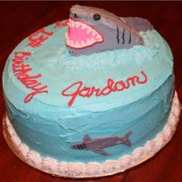 Shark Cake I DID THIS FOR A BOY WHO WAS GOING IN A SHARK TANK FOR HIS BIRTHDAY! YIKES! I JUST USED SOME OF THE EXTRA CAKE I HAD AFTER LEVELING THE...
