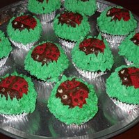 Ladybug Cupcakes Chocolate covered oreos made to look like ladybugs in grass for my daughter's 3rd for daycare