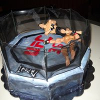 Ufc Cake UFC octagon