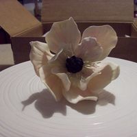 Una Magnolia 