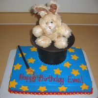 Magic Bunny This cake was made for a boy who is a patient at St. Jude Children's Research Hospital. He absolutely lit up when he saw it! It was...