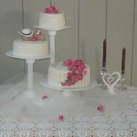 My First Wedding Cake This took so much longer than I thought it would! I wan't very happy with the top tiere because it was hot in my house and by the time...