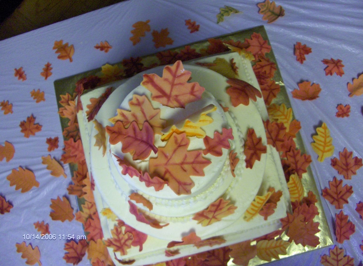 Fall Wedding Top View This is the top view of the first wedding cake I did.
