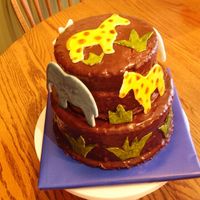 Chocolate Jungle Baby Shower Cake This was my first attempt at ganache and tiered cakes. The mother to be wanted all chocolate, so it's a chocolate cake with whipped...