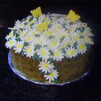 Basket Of Daisy's For Mom Great for Mom who likes sweet treats and flowers!