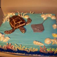 Sea Turtle 