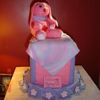 Edited_Bunny.jpg DUMMY CAKE FOR MY COUNTY FAIR