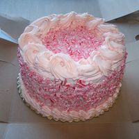 Candy Cane Cake Chocolate cake with peppermint buttercream and crushed candy canes