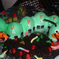 Caterpillar Cake This was made with small ball cakes covered in fondant. "Dirt" is chocolate cake crumbs with gummy worms. Antennae is black...