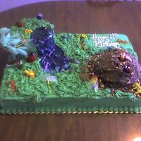 Bug Cake For a child's 6th birthday who is into bugs...