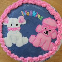 Webkinz Used fbct for animals