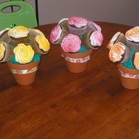 Cup Cake Bouquet 