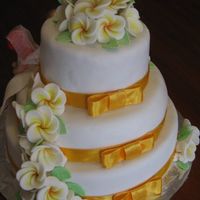 Img_0901.jpg This is my first wedding cake. This is the back of the cake with the bows and trail of frangipannis (all the fashion in australia at the...