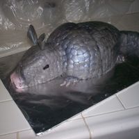Armadillo Cake Armadillo