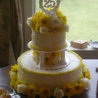 25Th Aniversary Cake This is my first real cake I decorated. It is buttercream frosting and real daisies