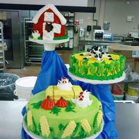 Farm Cake 2 my second chicken farm wedding/anniversary/celebration anything cake!!!