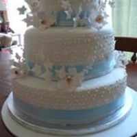 Blue Bliss Wedding cake I made, first fondant, first gumpaste, and first wedding :) I know the dots are not even, thought the bride didn't notice...