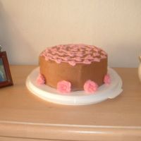 First Cake This was my mother's 43rd B-day cake. And my first one for other people. It is Chocolate fudge cake with chocolate chips. Raspberry...
