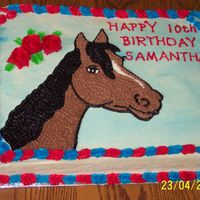 Horse To Match Partyware. This is a cake that I made for a horse party. I copied the horse from a party plate. I matched the colors up because it was supposed to be...