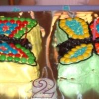 Double Butterflies 