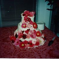 Wedding Cake With Gerbera Daisies 