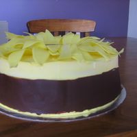 Sunflower Cake Side View This is the side view of the sunflower cake. The colour around the cake is chocolate. Just spread choccy over a long piece of baking paper...