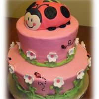 Pink Lady Bug Customer brought in the party plate and asked if I could make a matching cake..she was very pleased...TFL