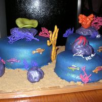 Saltwater Aquarium Cake This cake was made for a 50th birthday. Instead of the usual over the hill cake, I made an aquarium cake. My father has become very...