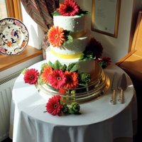 Wedding Cake Gerbera My first cake which I made for my brother's wedding day. A huge mountain to climb for a first ever cake but I was happy with the...