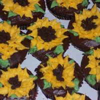 Sunflower Cupcakes I saw a pic of some sunflower cupcakes once before, and thought I'd do them to go along with the fall cake for my son's birthday...