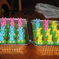 Easter Cupcakes For my daughters kindergarden class