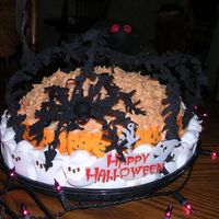 Spooky Spider A friend asked me to make a cake for her party and this is what I came up with. 2 layer cake made with white cake mix and red dye so when...
