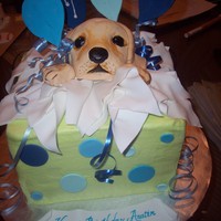 Puppy Surprise Vanilla cake, krispies and fondant puppy face, fondant/gumpaste accents