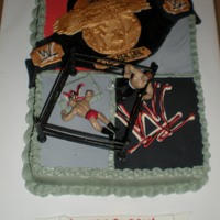 Wwe Wrestling Did this for my son's bday cake Nov09. Got alot of ideas from here! thx for looking.