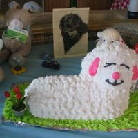 Lamby well this is a good picture beings that my first lamby fell on the floor right after it was all done..