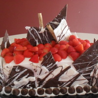 Christmas 2009 I got this idea from emmers here on cc, thank you for you help!