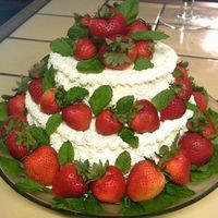 My Dad's Bday Cake My Dad loves strawberry shortcake so I made him something a little more special than the usual grocery store type. It had fresh cream and...