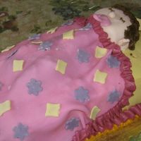 Baby Doll Cake This is 2 8x11 chocolate cake with chocolate chip mint icing in the middle. First time using fondant - sure was a lot of fun!! I would do a...