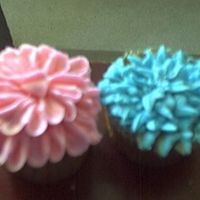 Flower Cupcakes this is a picture of the two remaining cupcakes i had left after making around 5 dozen of them,they were all decorated with bc and weremade...