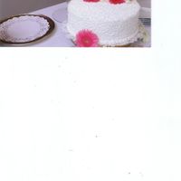 Bridal Shower This bridal shower was requested for 3 different designs on each cake & topped w/gerber daiseys