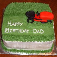 Lawnmower Cake I did this for my father-in-law's birthday. He is obsessed with mowing his lawn and making it look great so I thought this would be...