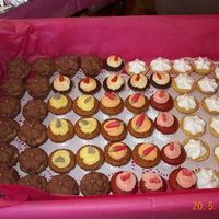 Morning_Tea.jpg selection of cakes for morning tea