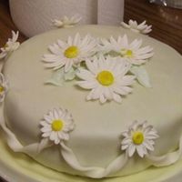 Fondant And Gum Paste Class I made this cake as my final cake for a wilton fondant, and gumpaste class!!