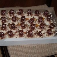 Groundhog Cupcakes 