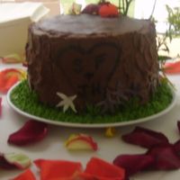 Initials On A Tree 3 layer dark chocolate cake with coconut pecan filling; covered with chocolate icing. Fondant decorations, and greenery added to the cake...