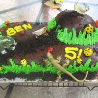 Bug Mountain I made this for my other twin's birthday. He LOVES bugs!!! It was chocolate cake with chocolate frosting and crushed oreos for the...
